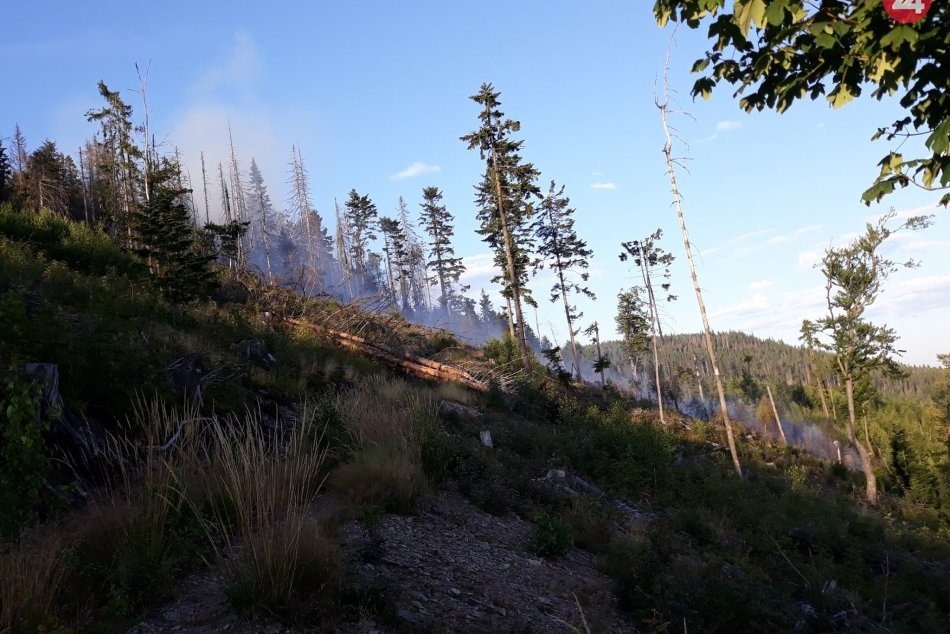 Ilustračný obrázok k článku Požiar lesa neďaleko Spišskej: Hasiči s ním stále bojujú