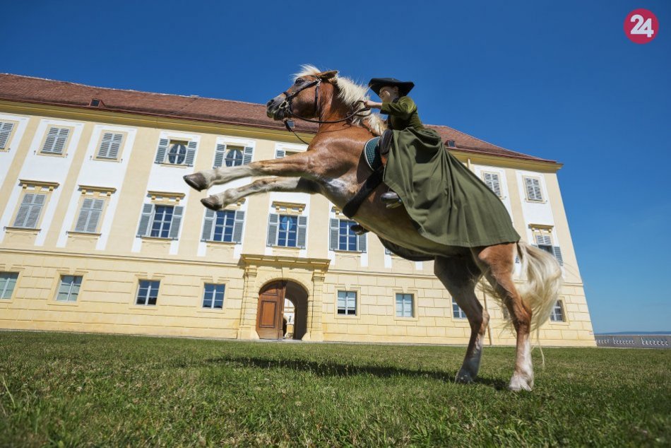 Ilustračný obrázok k článku Tip na výlet: Na zámku Schloss Hof sa bude konať veľká slávnosť koní