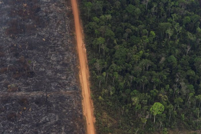 Ilustračný obrázok k článku Sľuby sa sľubujú: Odlesňovanie v Amazónii dosiahlo v hrozivý rekord!