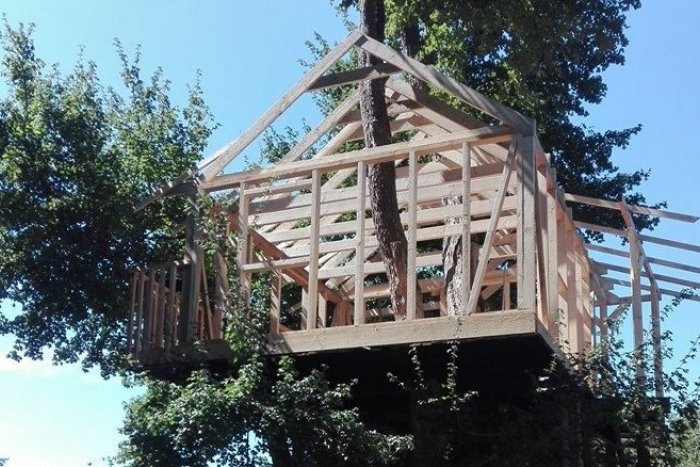 Ilustračný obrázok k článku FOTO: Neďaleko Bratislavy stavajú ďalší domček na strome. Pozrite sa, ako vyrastá!