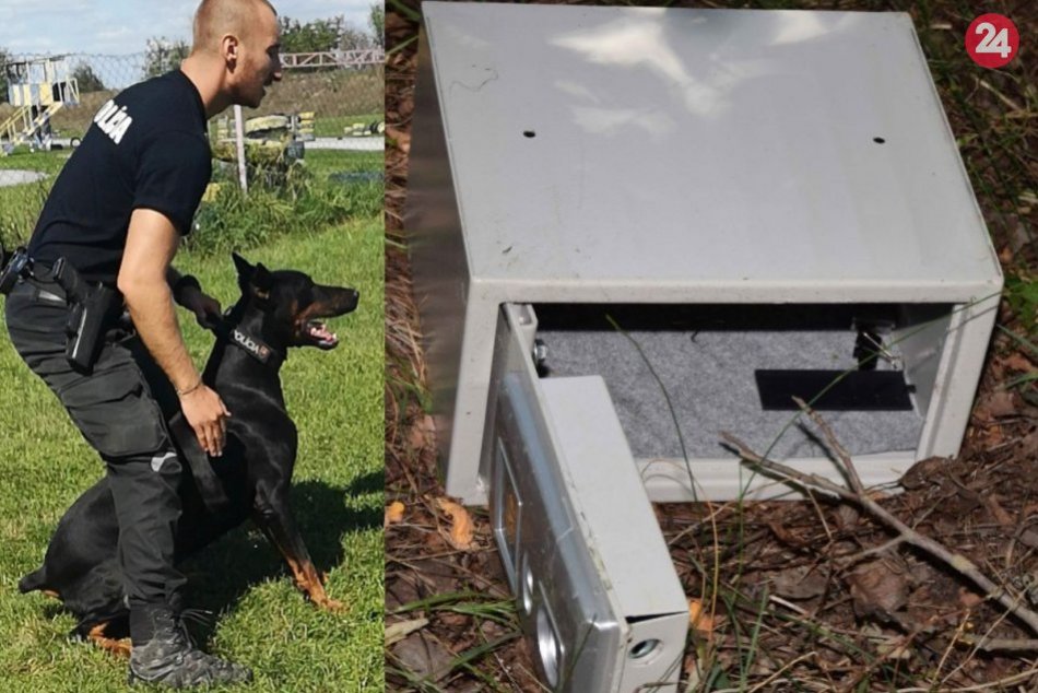 Ilustračný obrázok k článku Šikovný policajný pes Iron: Vyňuchal ukradnutý trezor, FOTO