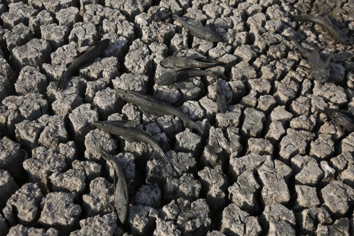 Ilustračný obrázok k článku Najhoršie sucho v histórii krajiny: Viaceré  austrálske mestá môžu byť čoskoro bez vody