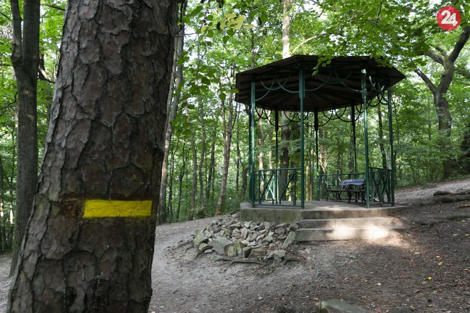 Ilustračný obrázok k článku Zásah v hodine dvanástej: Prečo museli vyrúbať stromy v Horskom parku? + FOTO