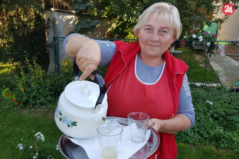 Ilustračný obrázok k článku Vrbovská bylinkárka v ROZHOVORE: Klasická a ľudová medicína idú ruka v ruke