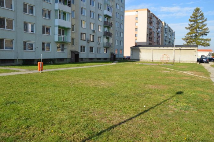 Ilustračný obrázok k článku Šaľa sa o čosi viac zazelená: Radnica vysadí takmer stovku stromov, FOTO