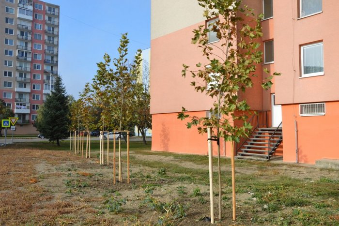 Ilustračný obrázok k článku Slnečná jeseň praje prácam vonku: V Šali sadia zeleň a dopĺňajú ihriská, FOTO