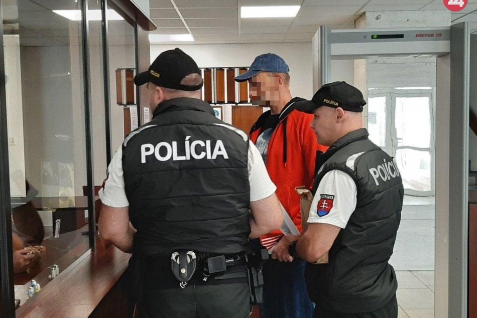Ilustračný obrázok k článku Trenčianski policajti sa nemaznali: Poliakovi Radovi (46) zadržali vodičák, FOTO