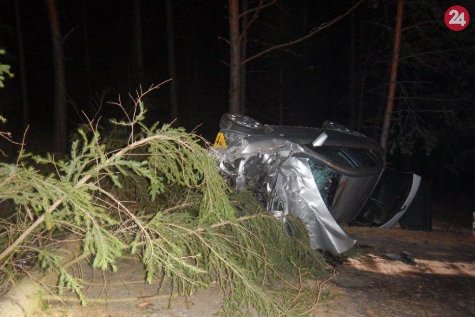 Ilustračný obrázok k článku Opitý vodič v okrese Považská vyletel z cesty, zlomil dva stromy a ťažko sa zranil, FOTO