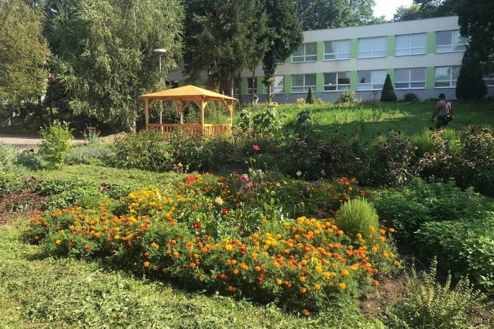Ilustračný obrázok k článku Záhrada, ktorá učí. V areáli ZŠ Kudlovská v Humennom vyrástla ekoučebňa, FOTO