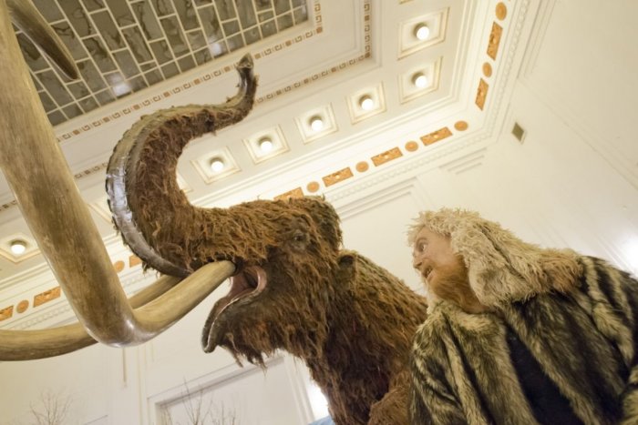 Ilustračný obrázok k článku Archeológovia objavili pasce na mamuty: Postavili ich pred 15-tisíc rokmi