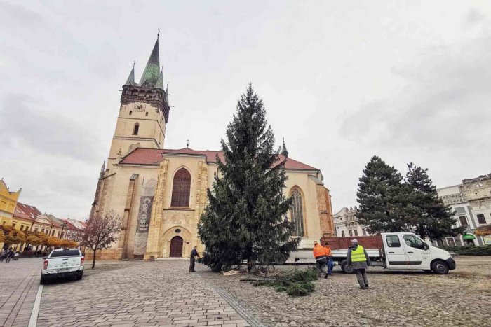 Ilustračný obrázok k článku Vyrúbali ho pre tienenie: Teraz je z neho vianočný stromček v centre Prešova, FOTO