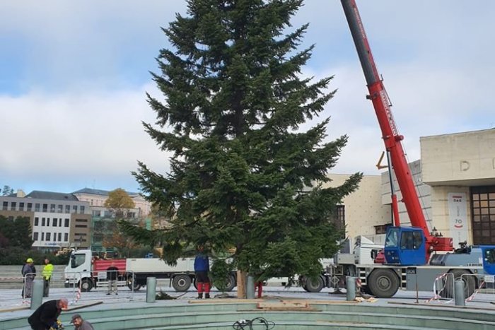 Ilustračný obrázok k článku Nitra sa pripravuje na najkrajšie sviatky: Námestie už zdobí vianočný stromček