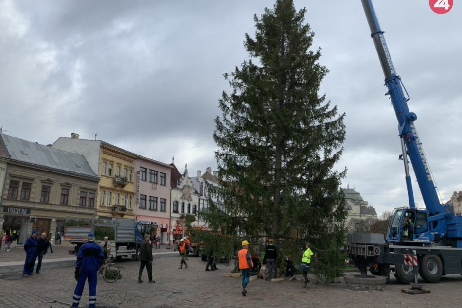 Ilustračný obrázok k článku Majestátny smrek už stojí pri Immaculate. Rozsvietia ho 5. decembra, FOTO