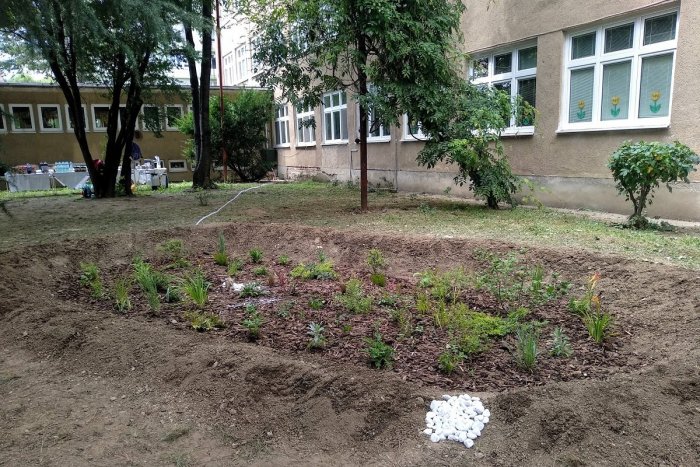Ilustračný obrázok k článku Na stredných školách Košického kraja pribúdajú dažďové záhrady