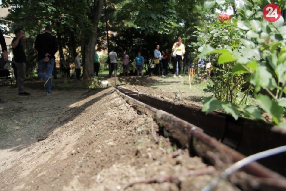 Ilustračný obrázok k článku Na strednej škole v Michalovciach pribudla dažďová záhrada, FOTO