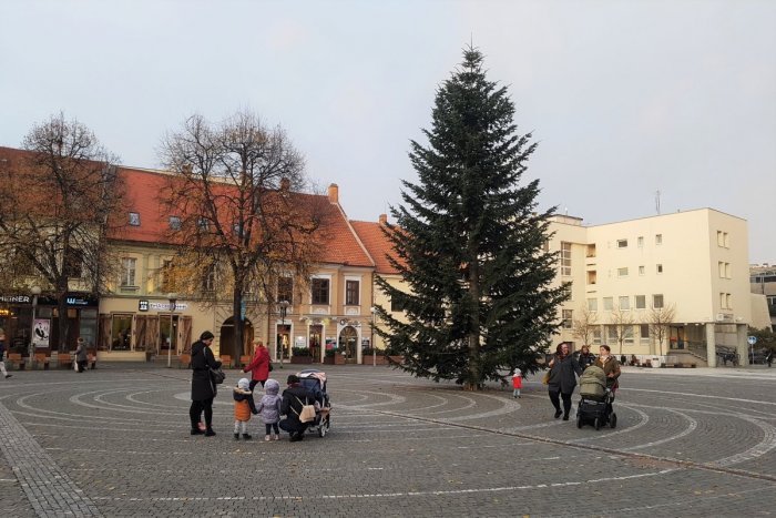 Ilustračný obrázok k článku Na Trojičnom námestí stojí vianočný stromček: Ozdobia ho v najbližších dňoch, FOTO