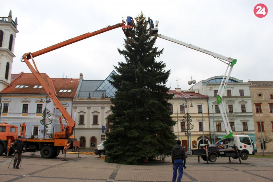 Ilustračný obrázok k článku Bystrica bude mať vianočný smrek: Prvé INFO o novej dominante námestia
