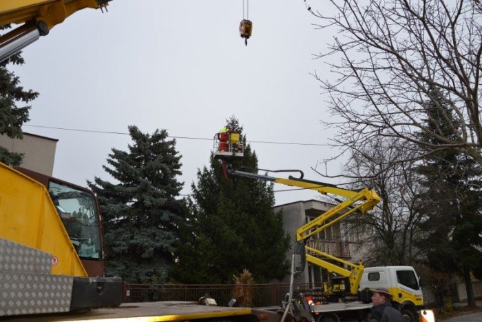 Ilustračný obrázok k článku V Šali aj Veči so symbolmi Vianoc: Trojica stromčekov umocní atmosféru, FOTO