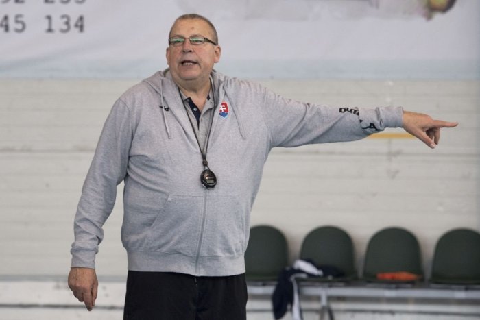 Ilustračný obrázok k článku Šalianske hádzanárky vycestovali do Zlína: Súperkám uštedrili trpkú prehru