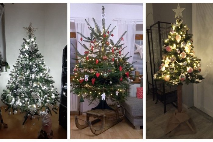Ilustračný obrázok k článku Žiarčania nás nechali nazrieť do obývačiek: GALÉRIA vianočných stromčekov