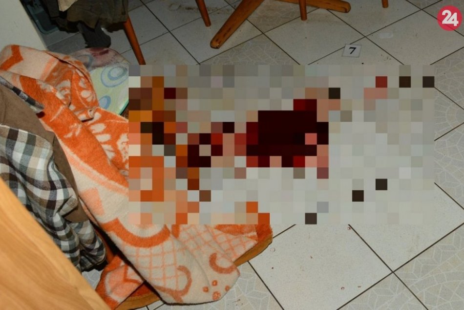 Ilustračný obrázok k článku Vražda v Považskej Bystrici počas Vianoc: Masaker v kuchyni, FOTO