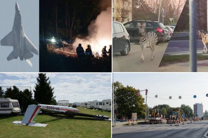 Ilustračný obrázok k článku Veterná smršť, pád stíhačky aj zebra na sídlisku: Udalosti, ktoré hýbali Nitrou v roku 2019