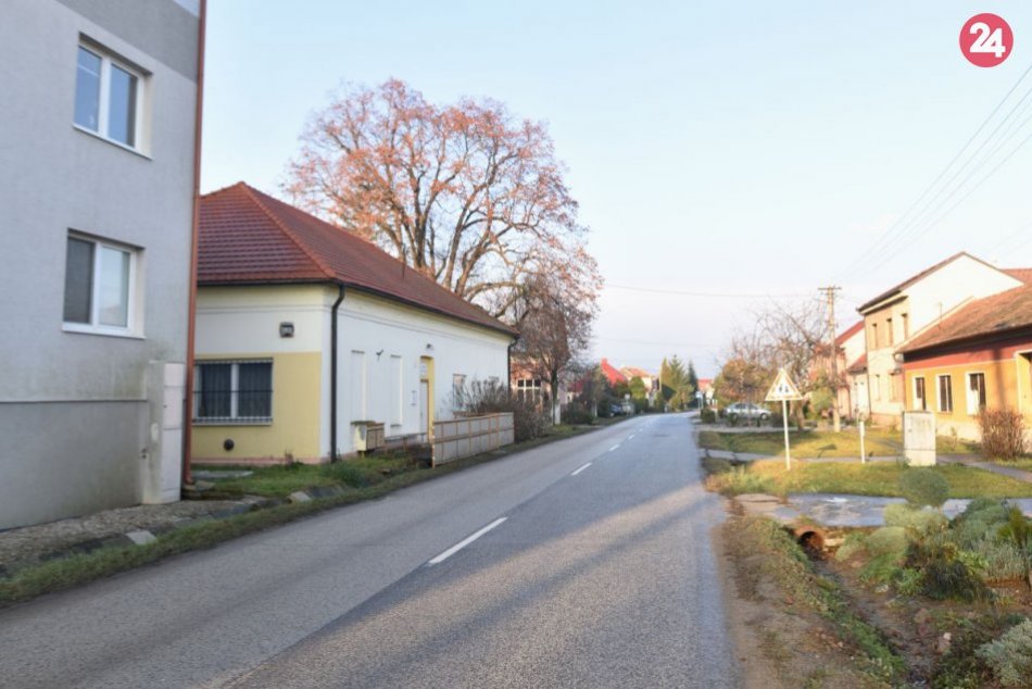 Ilustračný obrázok k článku Košolná nechce byť trnavským satelitom: V obci pribudlo viac ako tisíc stromov