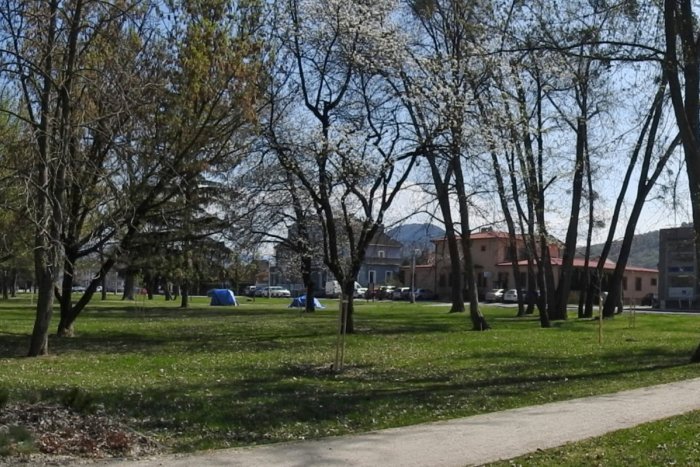 Ilustračný obrázok k článku Parádna aktivita: Druháci z Partizánskeho pomohli vysadiť viac ako 100 stromčekov