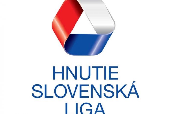 Ilustračný obrázok k článku VOĽBY 2020: Kandidáti - 16. Slovenská liga