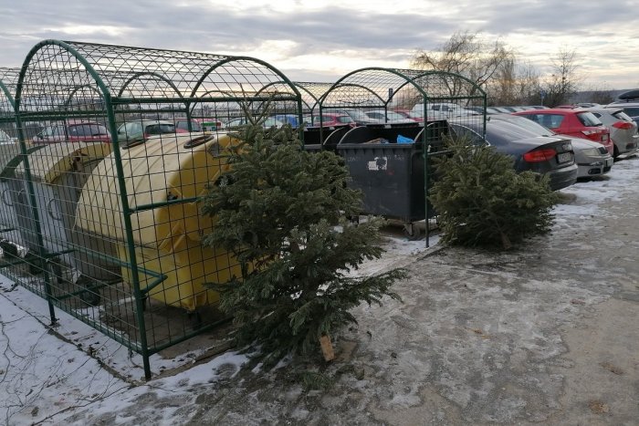 Ilustračný obrázok k článku V Poprade sa začalo so zberom vianočných stromčekov: Pozrite ROZPIS