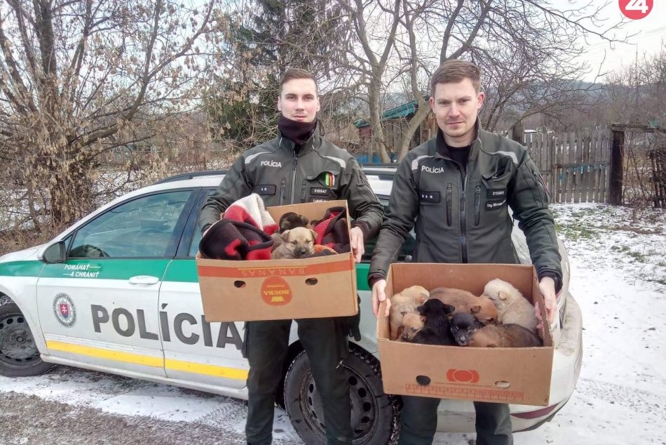 Ilustračný obrázok k článku Košickí policajti pomohli zachrániť 11 mrznúcich šteniatok z osady, FOTO