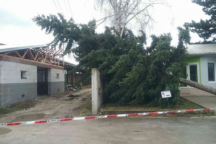Ilustračný obrázok k článku Počasie úradovalo aj v Rožňavskom okrese: Silný vietor lámal stromy