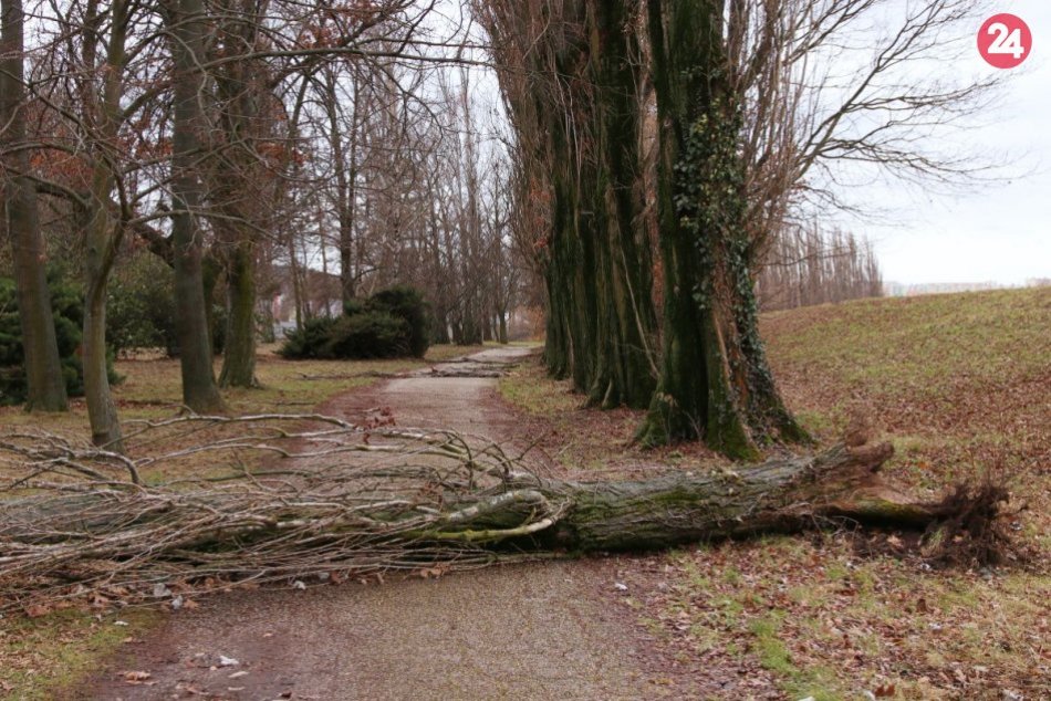 Ilustračný obrázok k článku Meteorológovia varujú pred silným vetrom: Mesto zatvára park i cintoríny