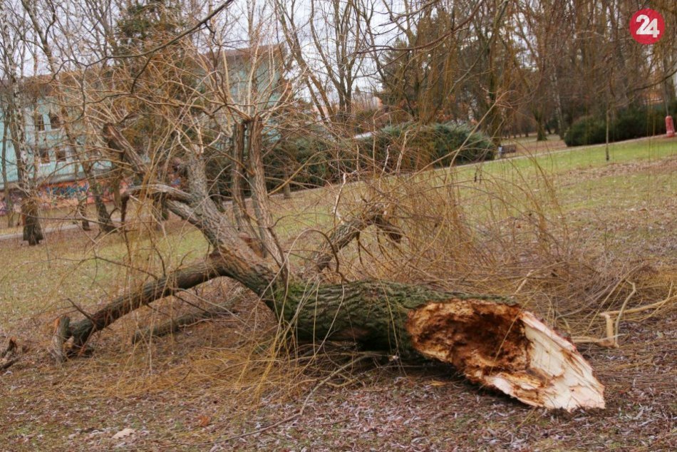 Ilustračný obrázok k článku Na Nové Zámky sa rúti silný vietor: Môže napáchať veľké škody!