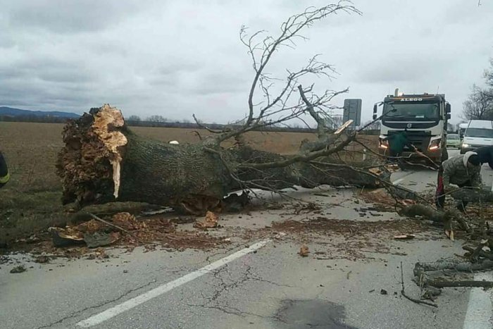 Ilustračný obrázok k článku Popadané stromy a zničené strechy: Silný vietor udrel aj na Trnavský kraj