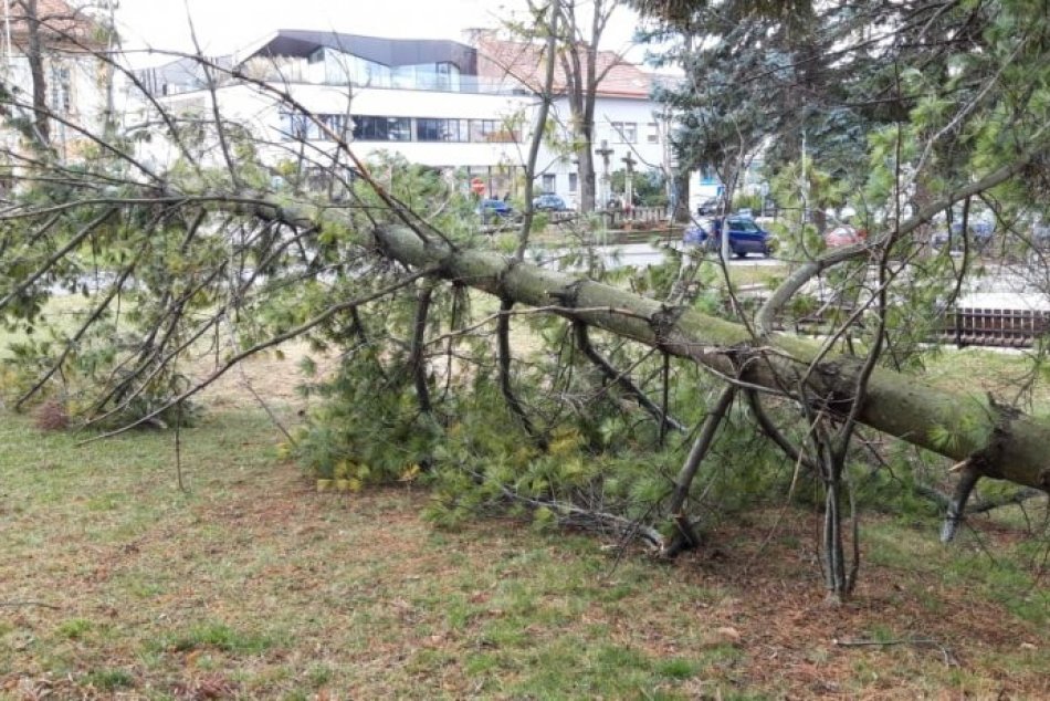 Ilustračný obrázok k článku Držte si klobúky! Silný vietor môže v nárazoch prekročiť 100 km/h