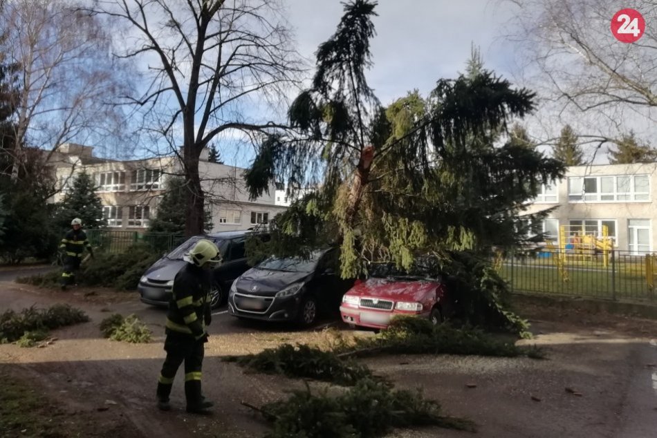 Ilustračný obrázok k článku Zábery z miesta: V areáli škôlky vietor vyvrátil strom, dopadol na autá!