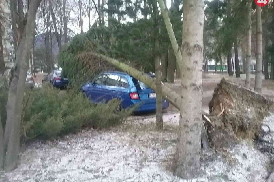 Ilustračný obrázok k článku Yulia vyčíňa aj v Mikulášskom okrese: V Hrádku vyvalilo strom na auto, FOTO