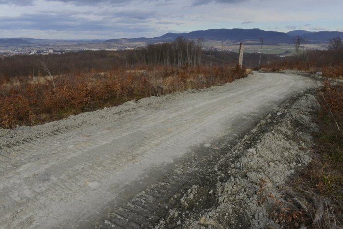 Ilustračný obrázok k článku Súčasťou letnej sezóny má byť nová rozhľadňa: Práce v mestských lesoch však zastavili