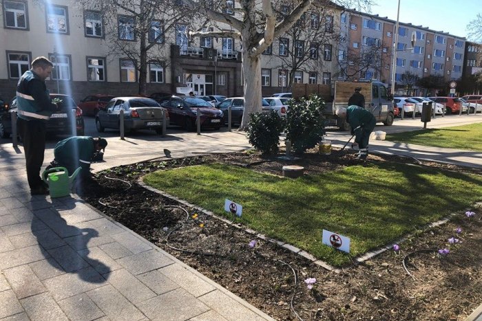 Ilustračný obrázok k článku Jar už klope na dvere: Ulice sa vyberú čistiť v Šali i v Trnovci