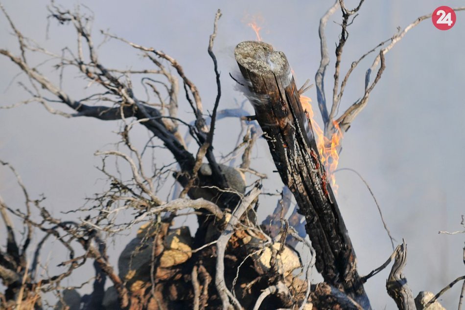 Ilustračný obrázok k článku Pozor na vypaľovanie trávy: Za porušenie zákazu hrozí mastná pokuta