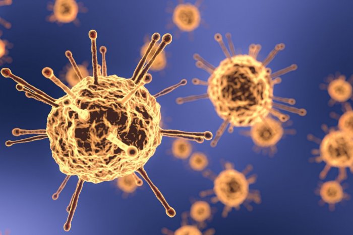 Ilustračný obrázok k článku Nová a neznáma MUTÁCIA koronavírusu je na svete: Objavili ju u našich susedov!