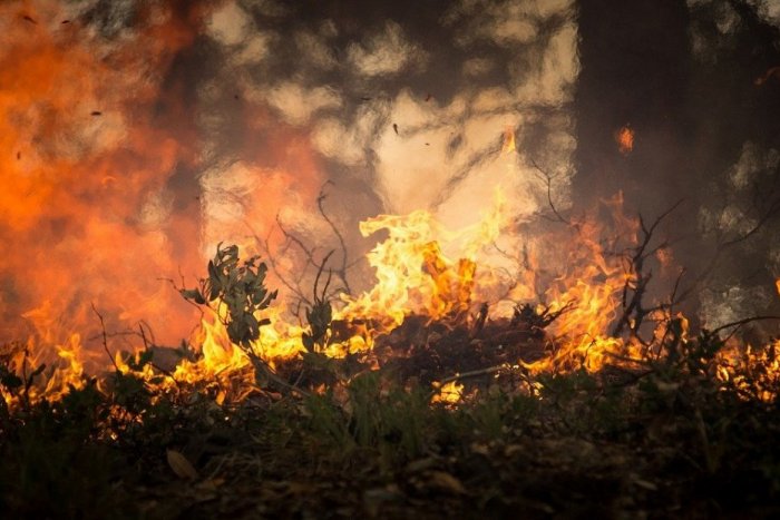 Ilustračný obrázok k článku Za vypaľovanie trávy a porastu hrozí pokuta viac ako 300 eur, upozorňujú hasiči