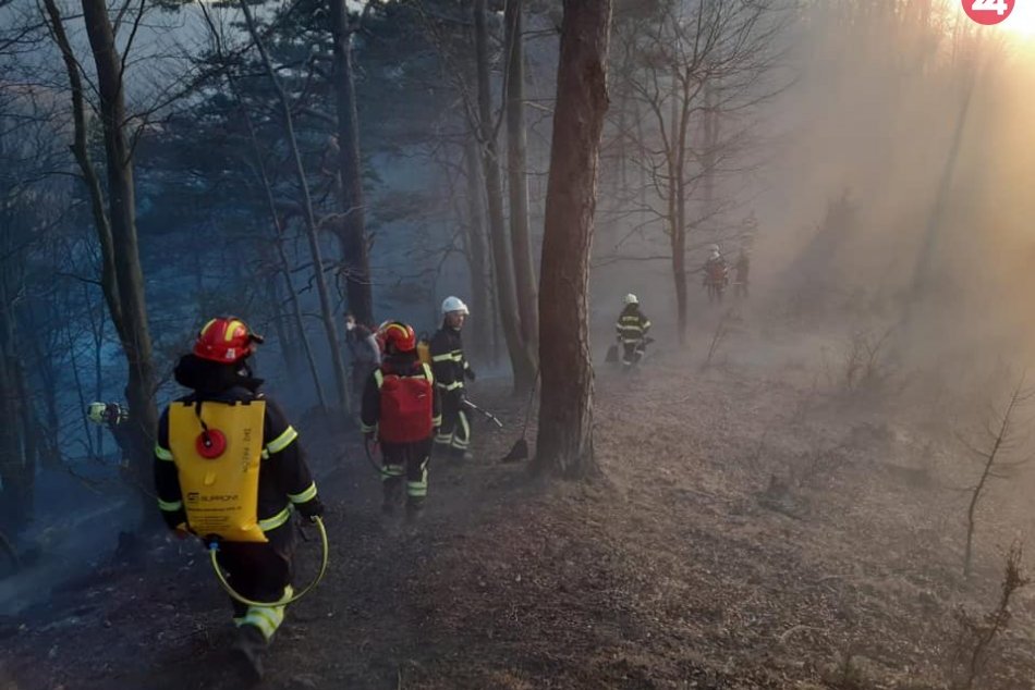 Ilustračný obrázok k článku Pri požiari v lese zasahuje viac ako 40 hasičov, FOTO
