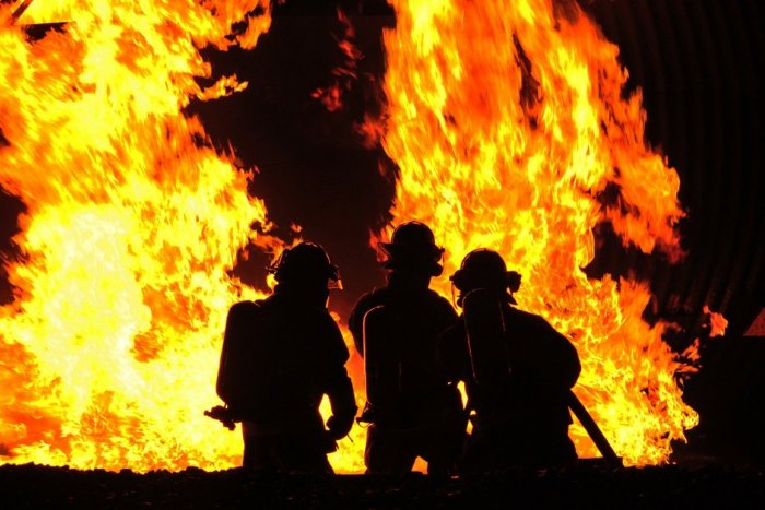 Ilustračný obrázok k článku KURIOZITA DŇA: Šteniatko zachránené z ohňa sa stalo hasičom