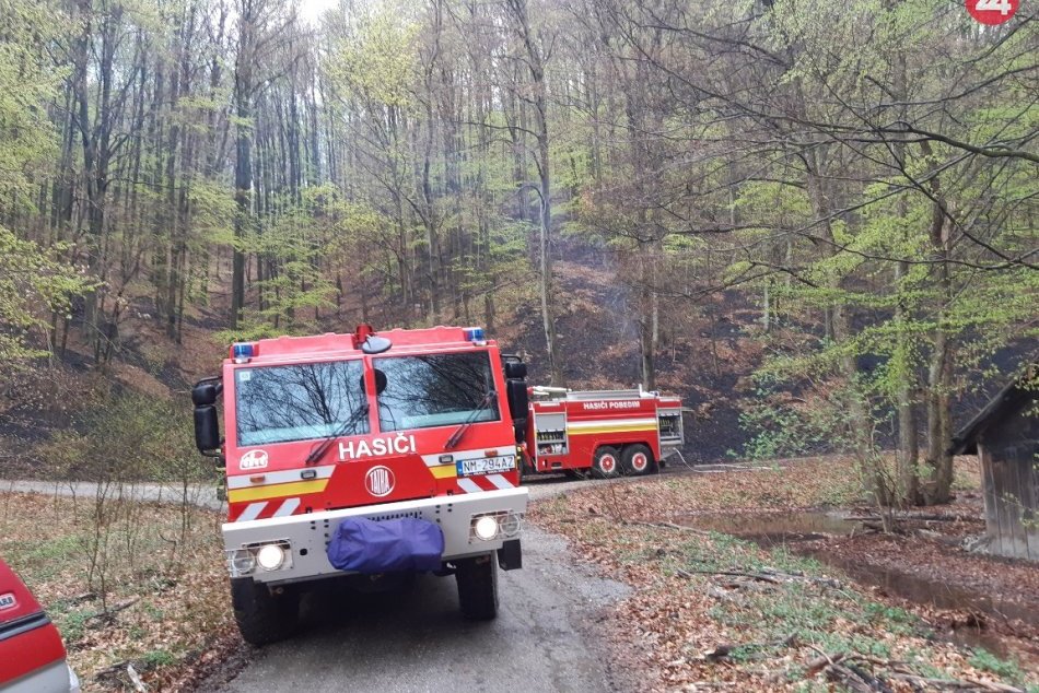 Ilustračný obrázok k článku Požiar lesa v ťažkom teréne: Viac ako 50 hasičom pomáhali aj štvorkolky, FOTO