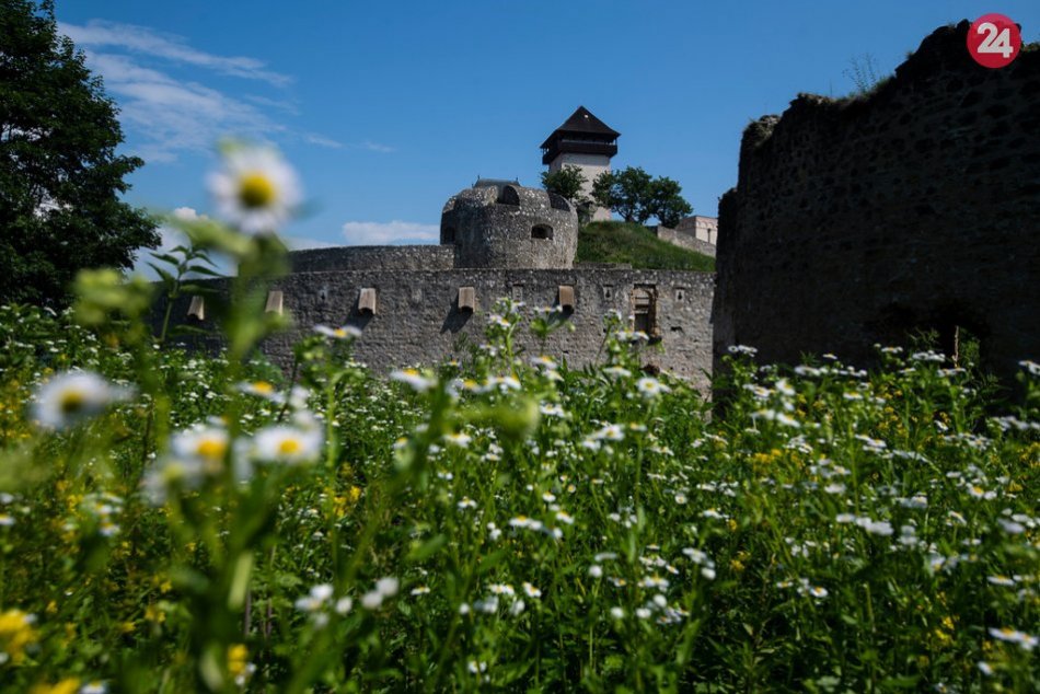 Ilustračný obrázok k článku Jarné upratovanie na Trenčianskom hrade: Po koronakríze bude ešte krajší, FOTO