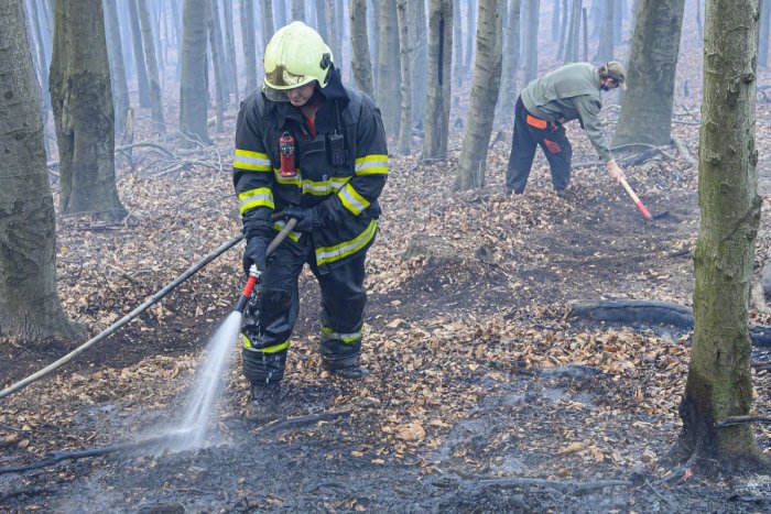 Ilustračný obrázok k článku Požiar pri Poprade likvidovali 24 hodín: Zasahovali desiatky profesionálov i dobrovoľníkov