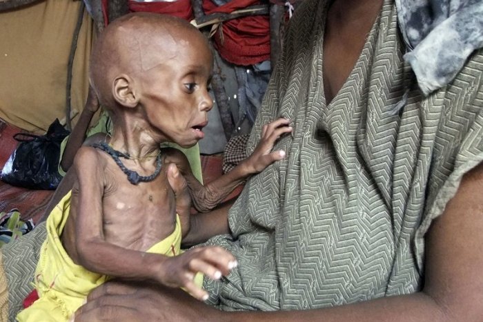 Ilustračný obrázok k článku 10 najohrozenejších krajín: Svet čelí hrozbe hladomoru "biblických rozmerov"