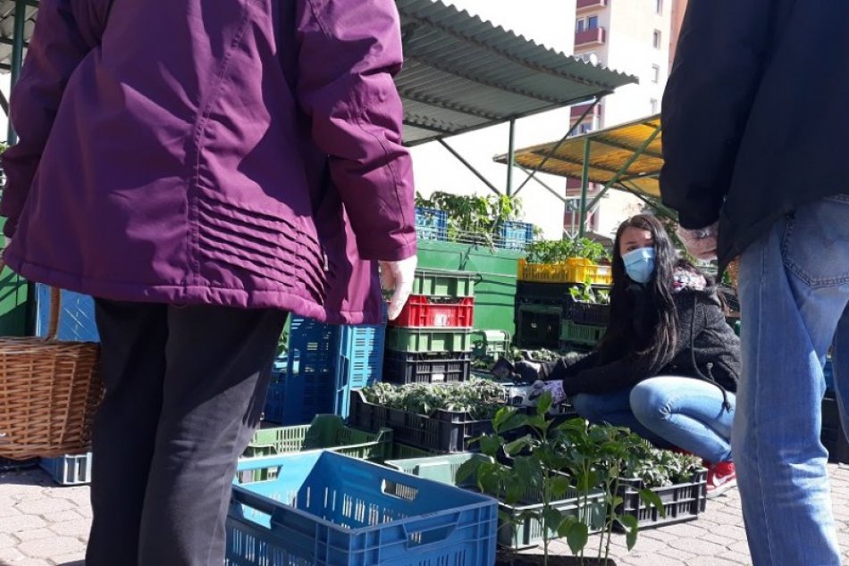 Ilustračný obrázok k článku Trhovisko pri zimnom štadióne ešte NEKONČÍ! Kedy sa plánuje jeho presun do CENTRA?